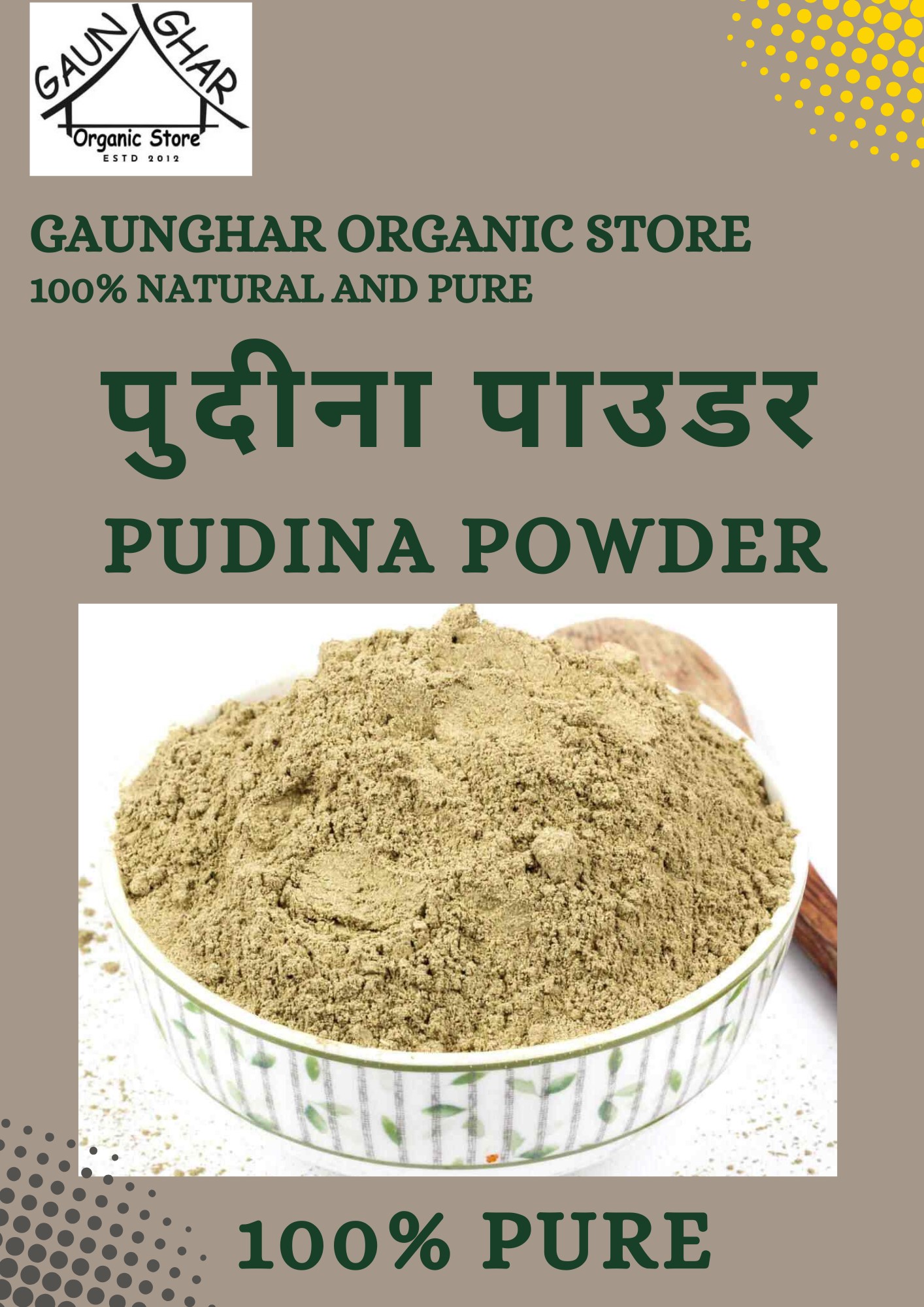 Pudina Leaves Powder 250 gm